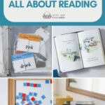 A collage of photos of flashcards, letter tiles, and easy readers with the words, "5 Things We Love About All About Reading"